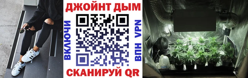 Бошки Шишки планчик  Пласт 